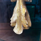 17th Century Baroque Shadowbox with Baroque Fragment - The White Barn Antiques