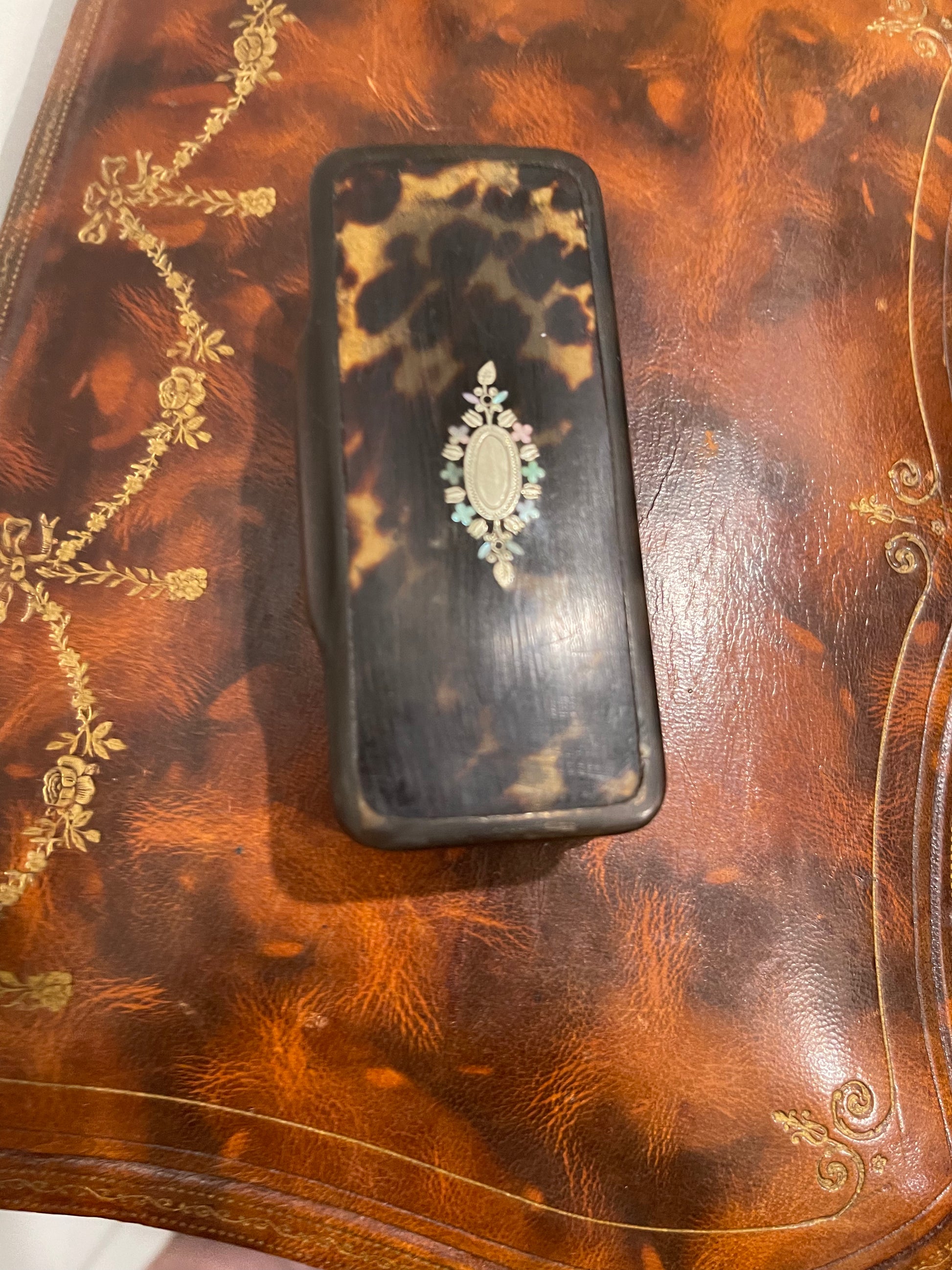 Georgian Tortoise Snuff or Hairpin Box - The White Barn Antiques