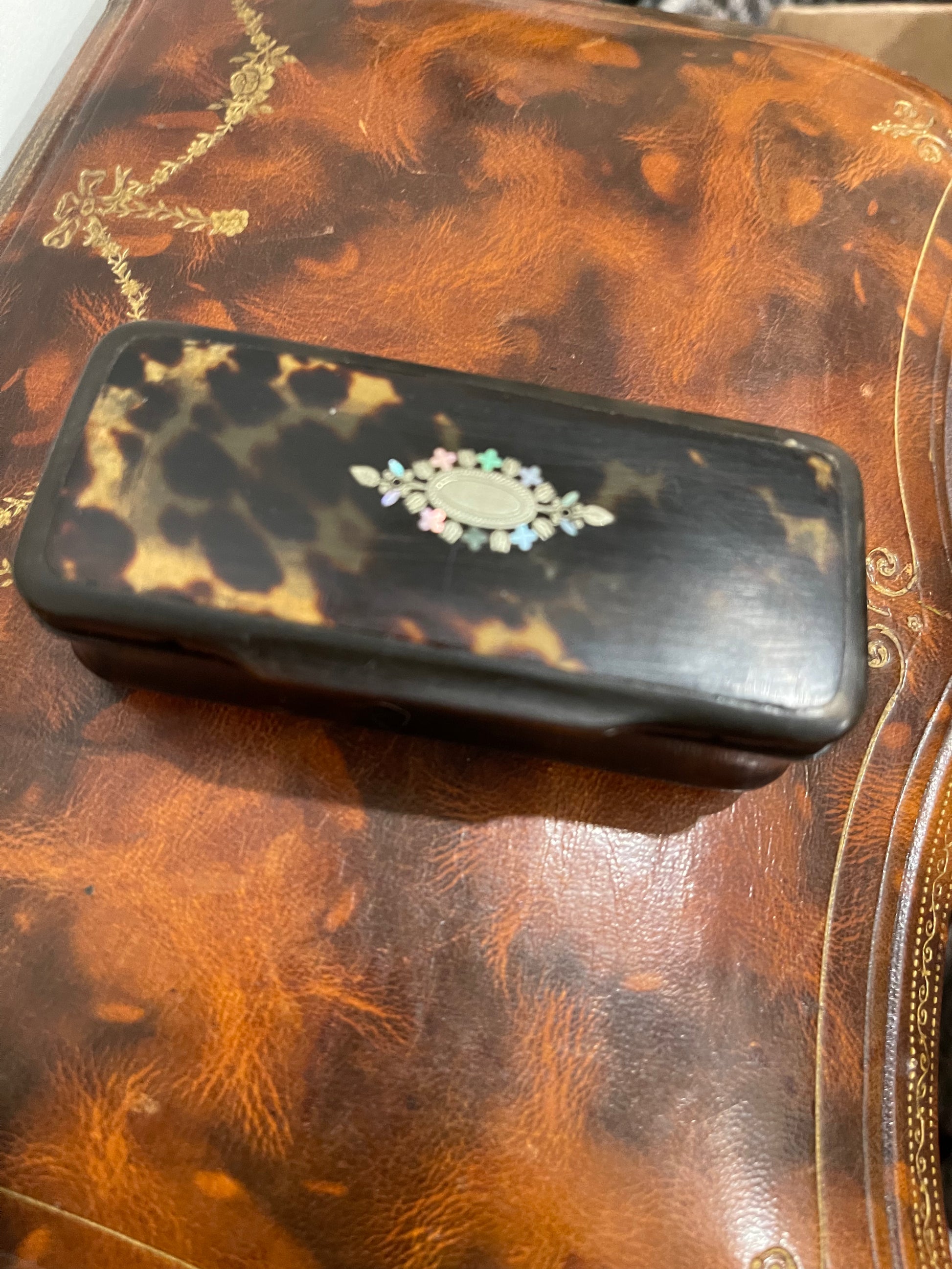 Georgian Tortoise Snuff or Hairpin Box - The White Barn Antiques