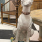 Pair of Italian Majolica Hounds - The White Barn Antiques