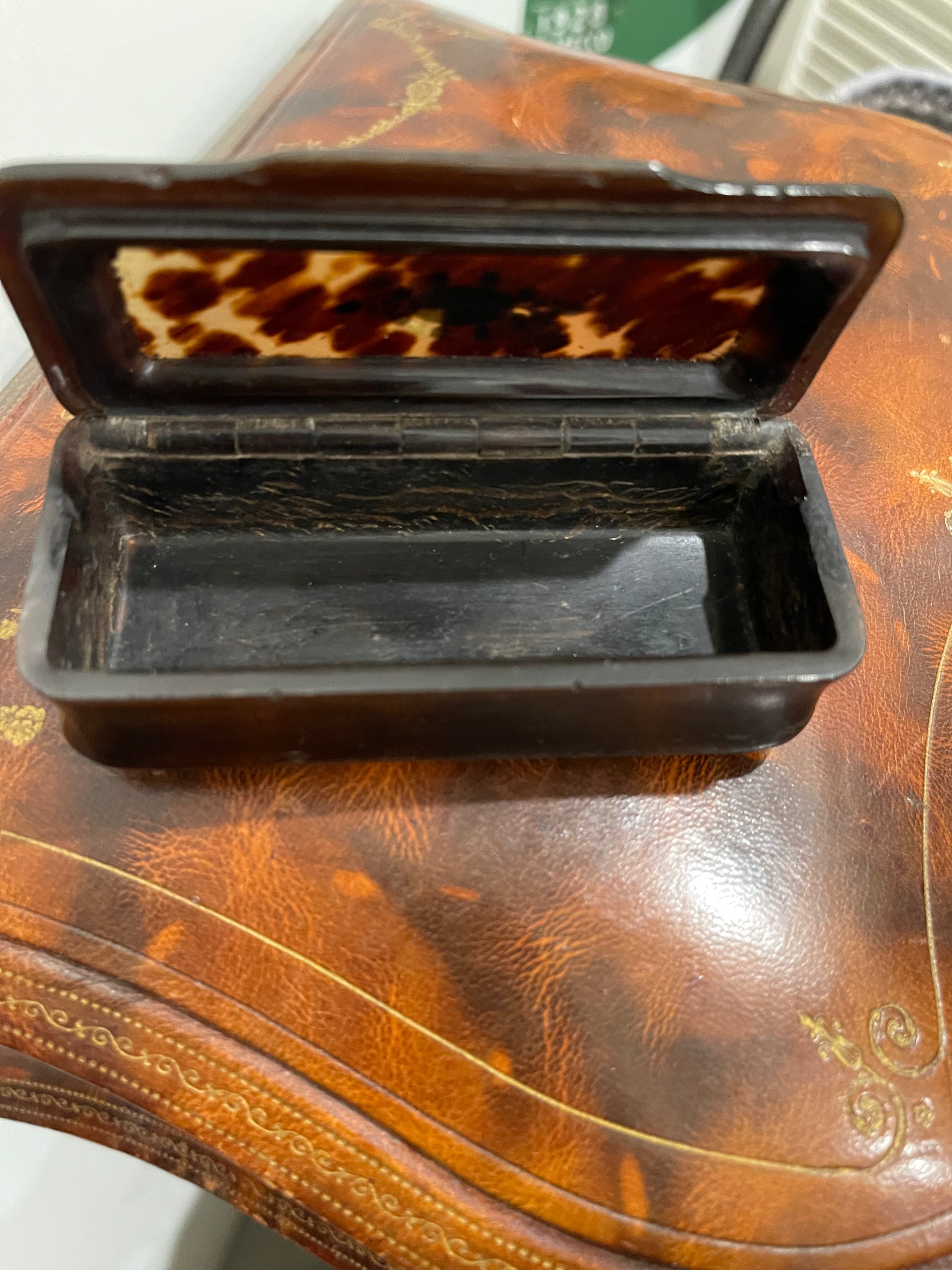 Georgian Tortoise Snuff or Hairpin Box - The White Barn Antiques