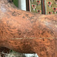 Swedish Wooden Horse circa 1910 - The White Barn Antiques
