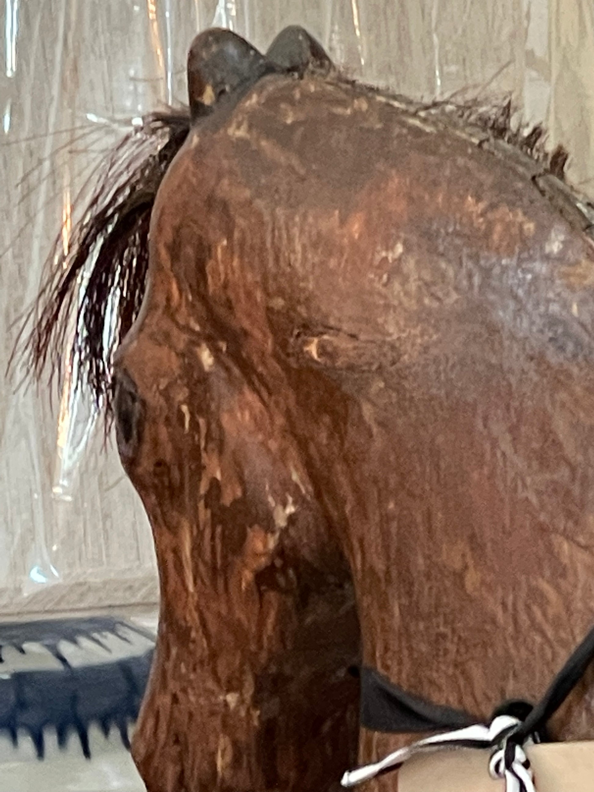 Swedish Wooden Horse circa 1910 - The White Barn Antiques